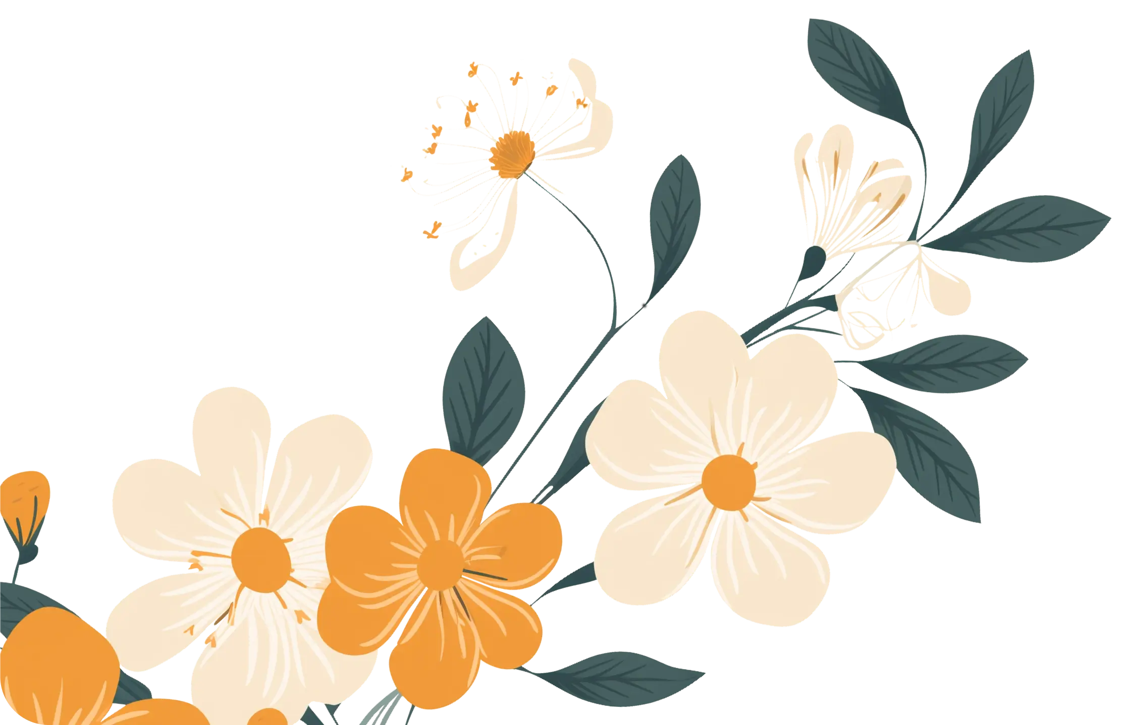 Alyssa Real Dietitian Live